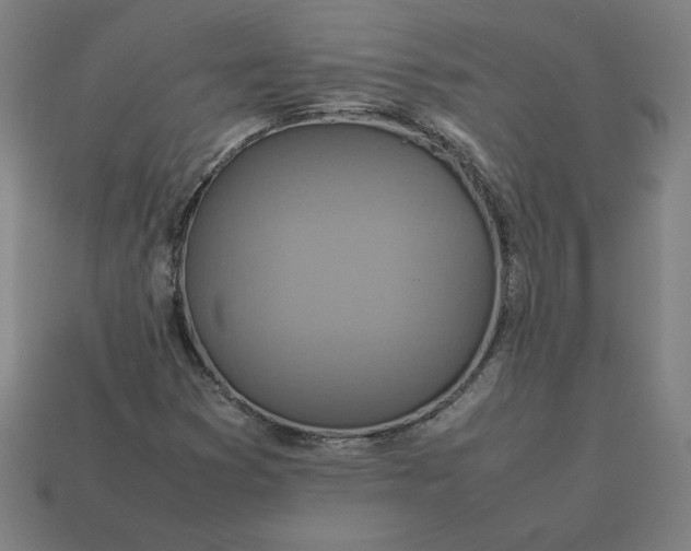 X0000113371353200910061052