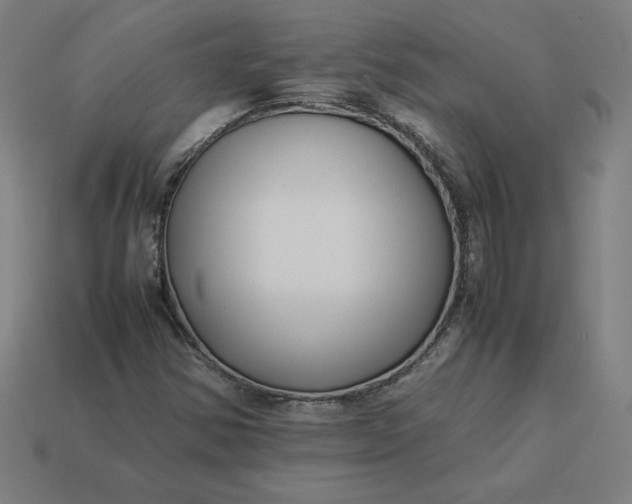 X0000113371354200910061052