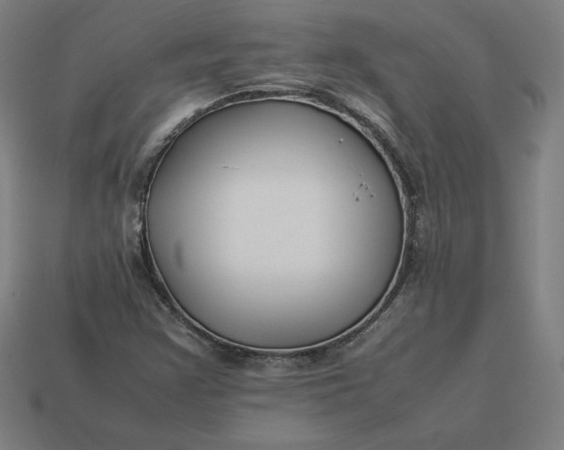 X0000113371355200910061052