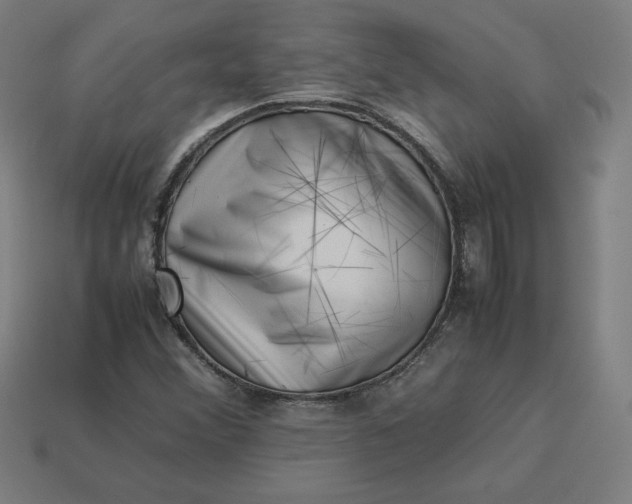 X0000113371356200910061052