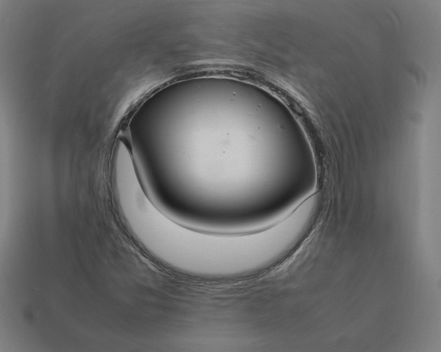 X0000113371357200910061052