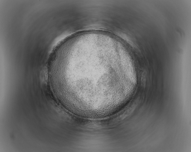 X0000113371358200910061052