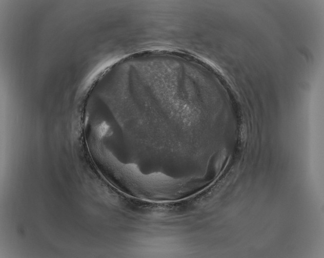 X0000113371359200910061052