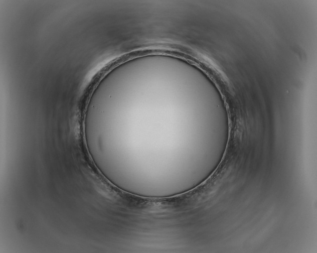 X0000113371360200910061052