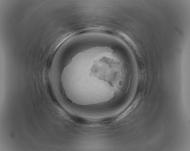 X0000113371361200910061052