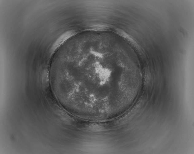 X0000113371362200910061052