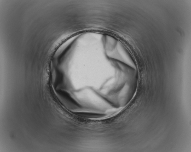 X0000113371363200910061052