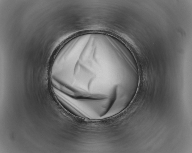 X0000113371364200910061052