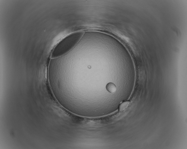 X0000113371365200910061052