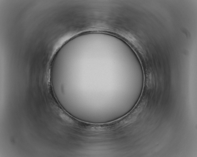 X0000113371366200910061052