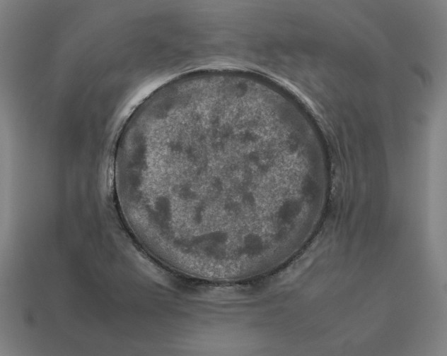 X0000113371367200910061052