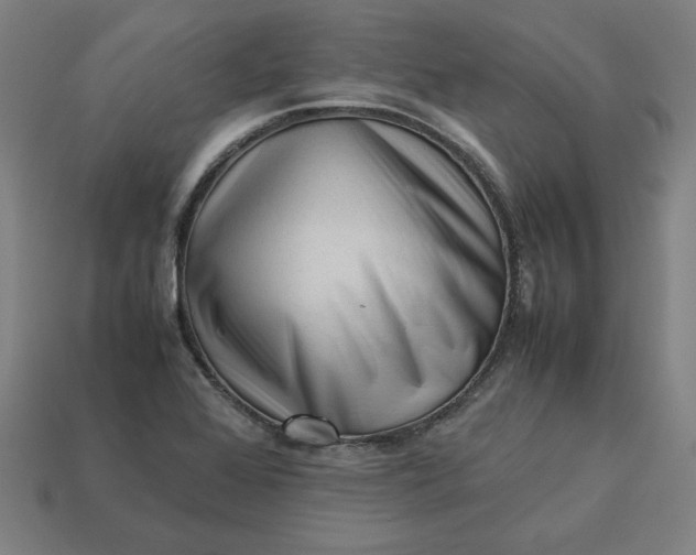 X0000113371368200910061052