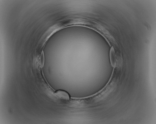 X0000113371369200910061052