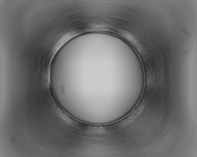 X0000113371370200910061052