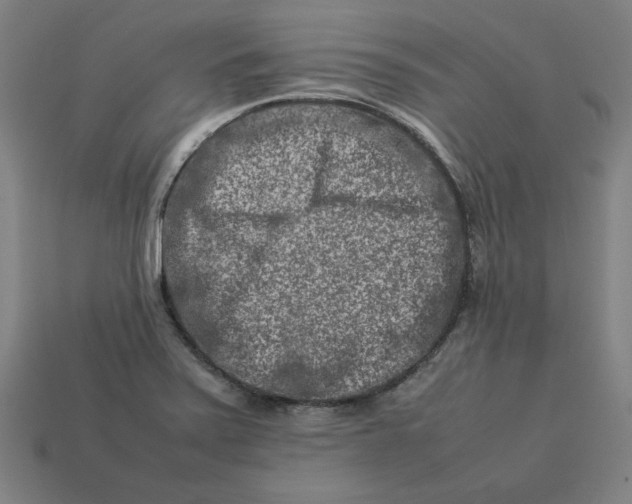 X0000113371371200910061052