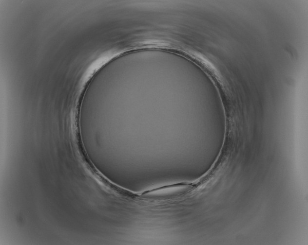 X0000113371373200910061052