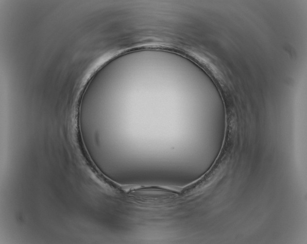 X0000113371375200910061052