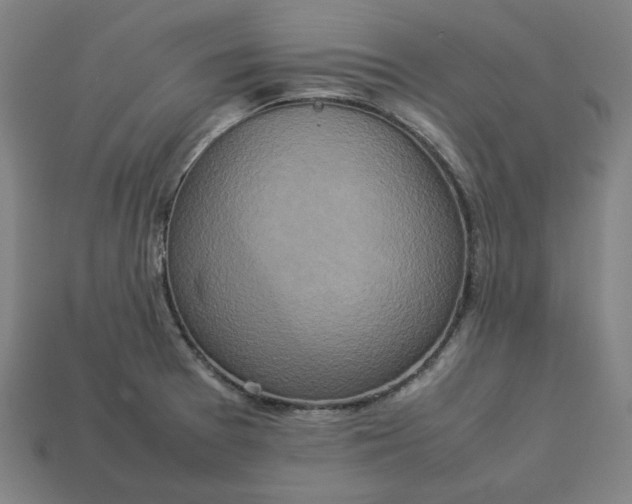 X0000113371377200910061051