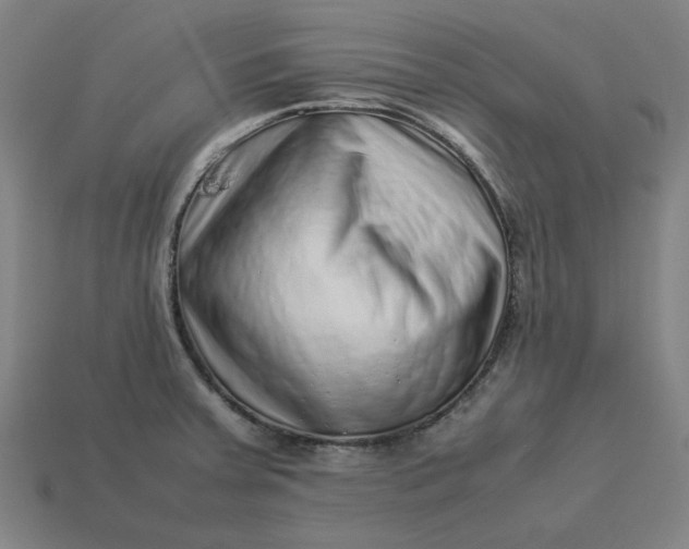 X0000113371379200910061051