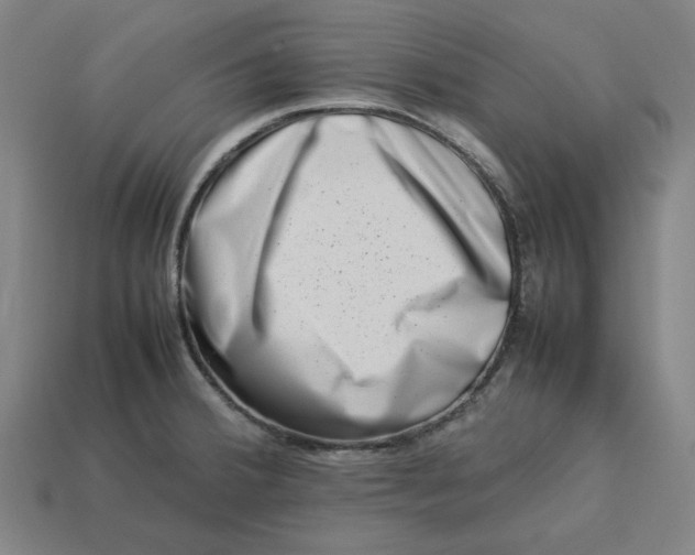 X0000113371380200910061051