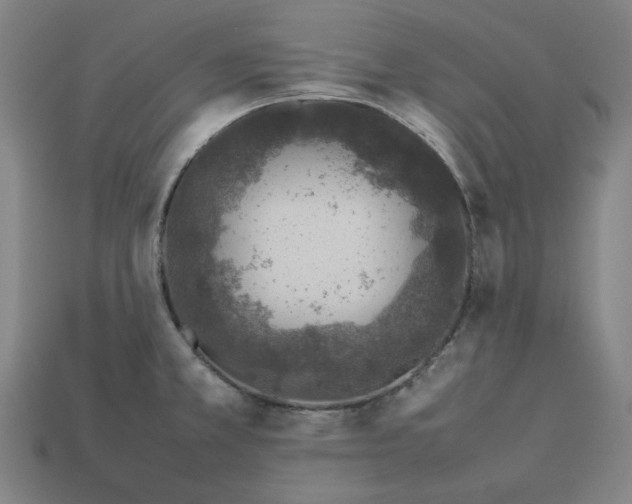 X0000113371381200910061051