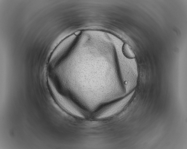 X0000113371382200910061051