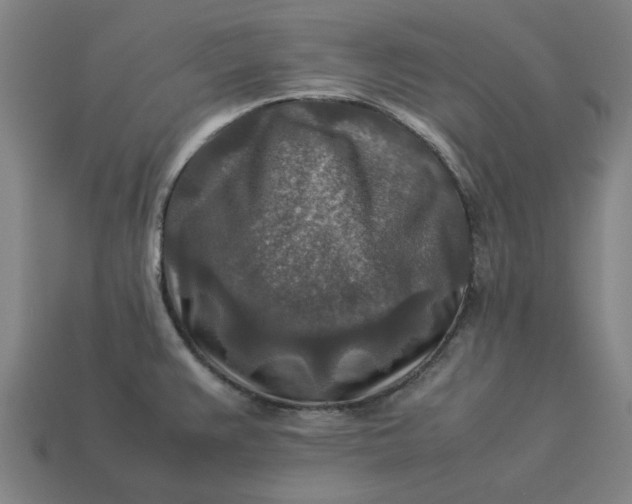 X0000113371383200910061051