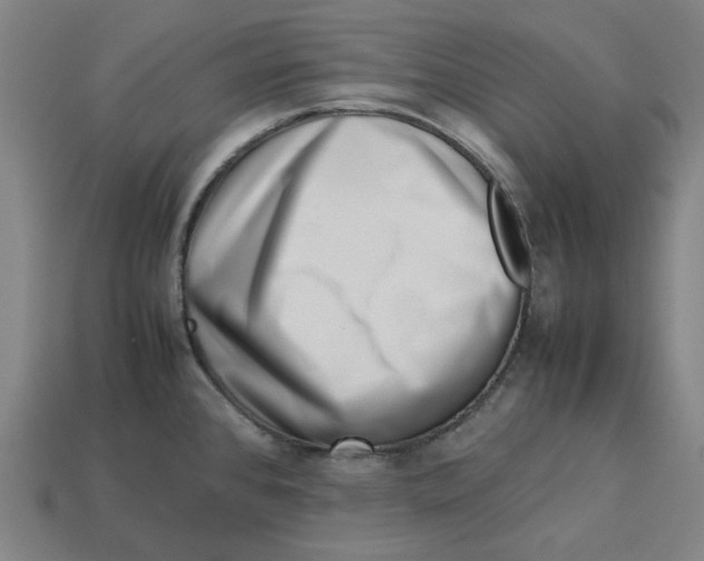 X0000113371384200910061051