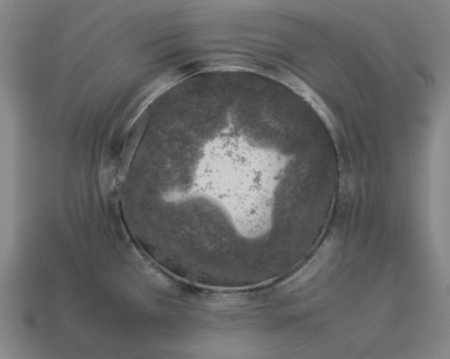 X0000113371385200910061051