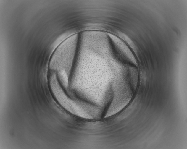 X0000113371386200910061051