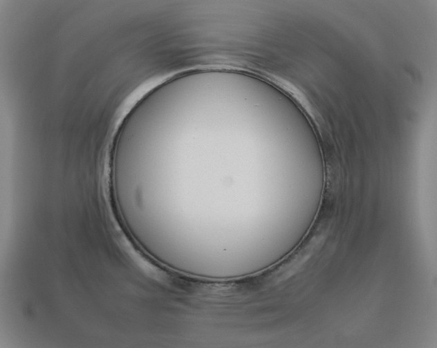 X0000113371387200910061051