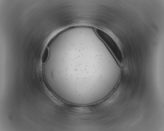 X0000113371388200910061051