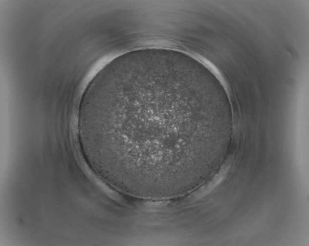 X0000113371389200910061051