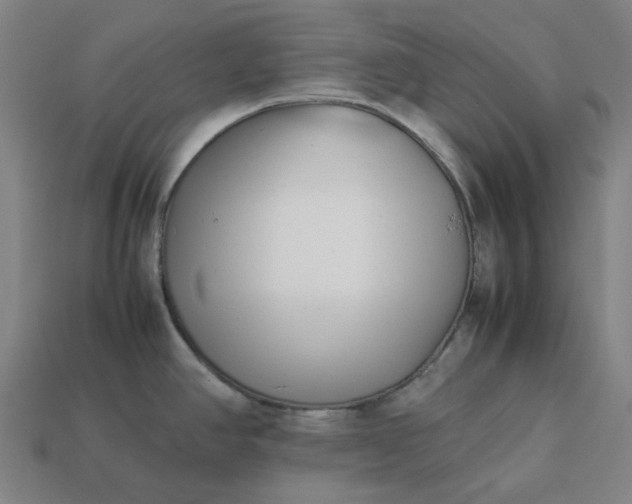 X0000113371390200910061051