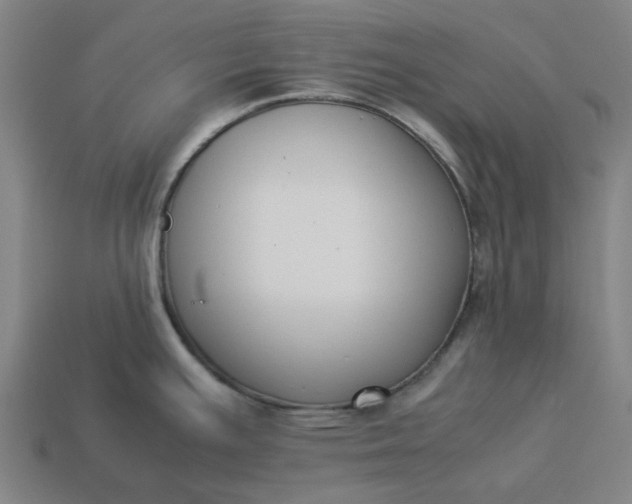 X0000113371391200910061051