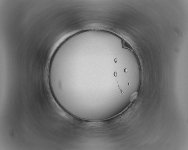 X0000113371392200910061051