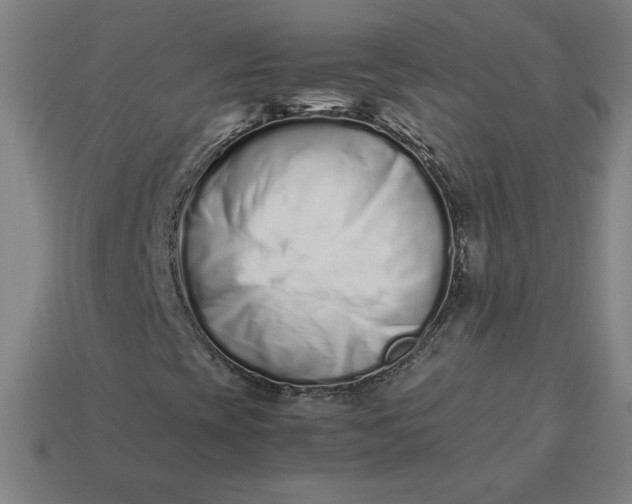 X0000113371393200910061051