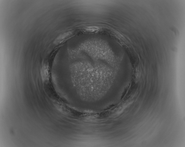 X0000113371394200910061051