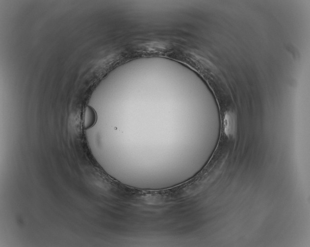 X0000113371395200910061051