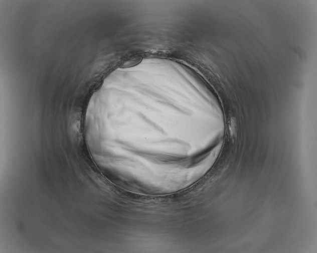 X0000113371396200910061051