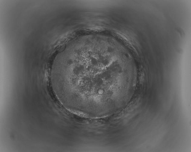 X0000113371397200910061051