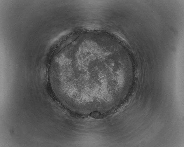 X0000113371398200910061051