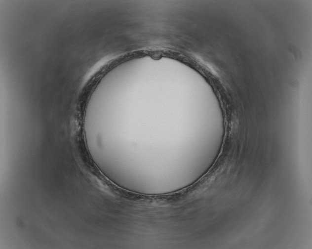 X0000113371400200910061051