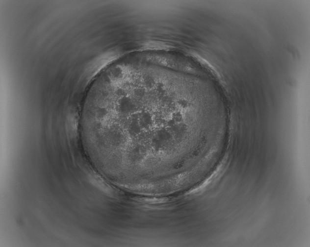 X0000113371401200910061051