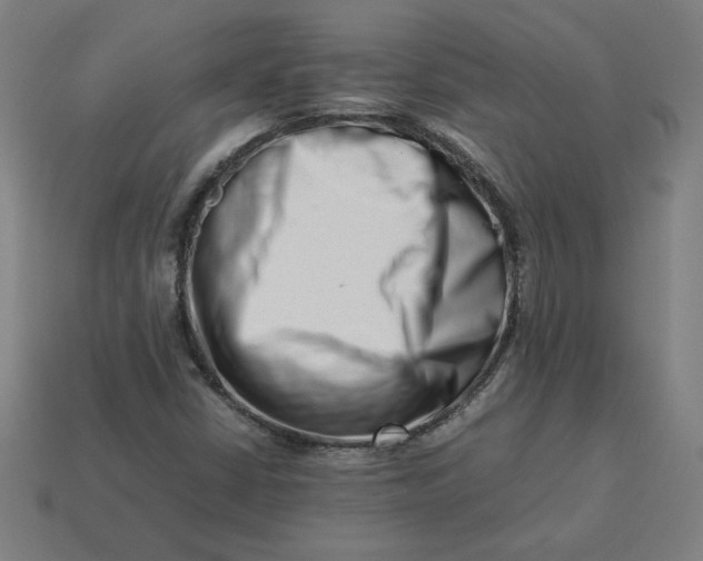 X0000113371402200910061051