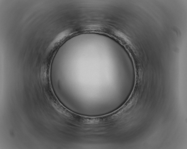 X0000113371403200910061051