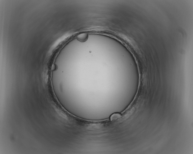 X0000113371406200910061051