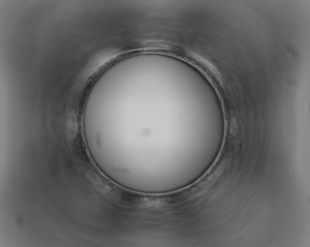 X0000113371407200910061051