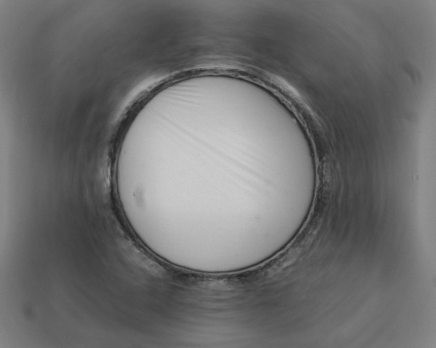 X0000113371408200910061051