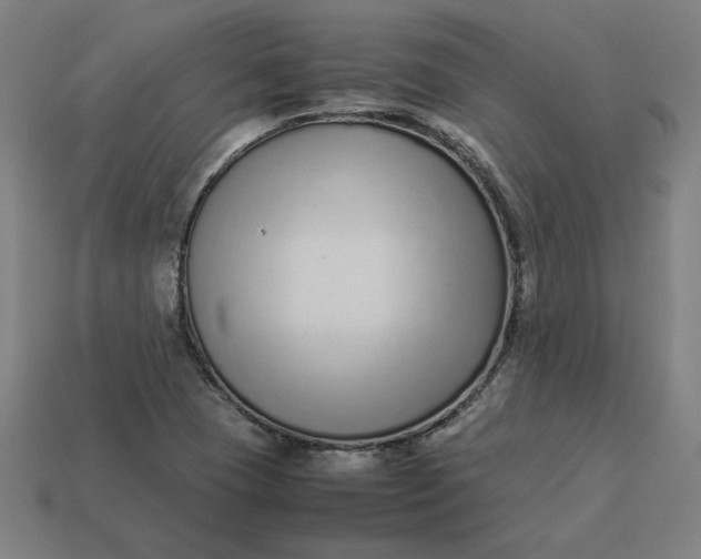 X0000113371409200910061051